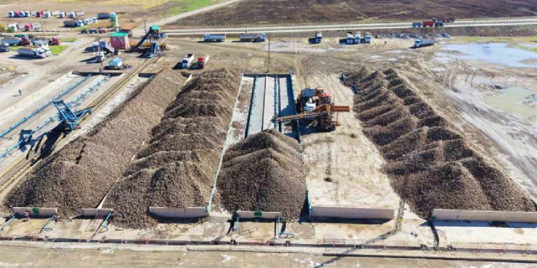 56 köyden 1500 üreticinin emeği! 320 bin ton üretimin 1,7 milyar TL katkı sağlaması bekleniyor! 2